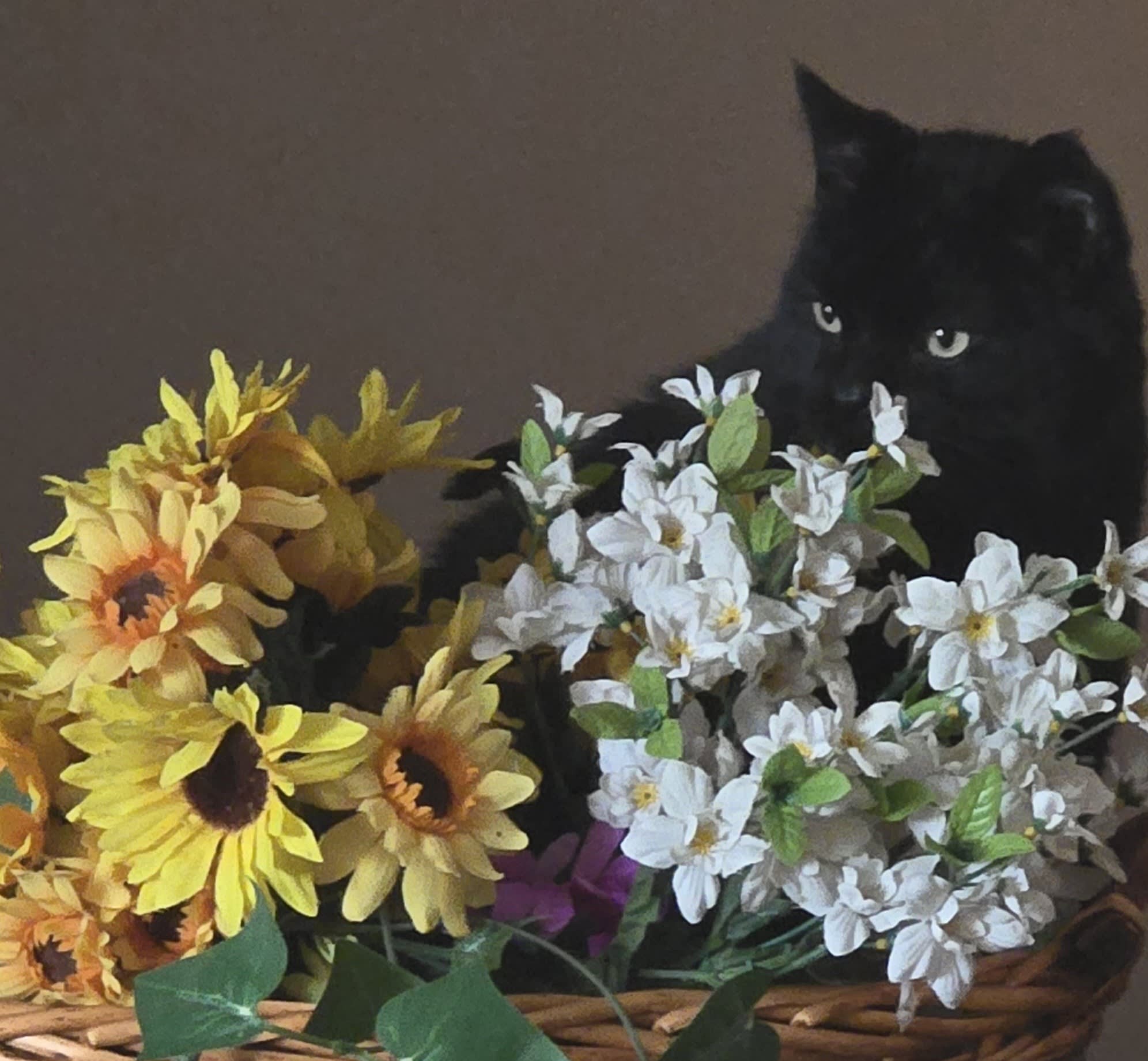 Section background image