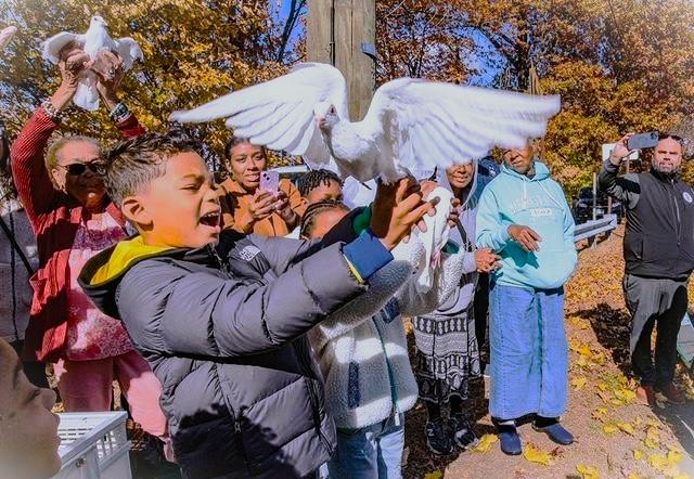 Dove Release Planning for Weddings, Funerals & More