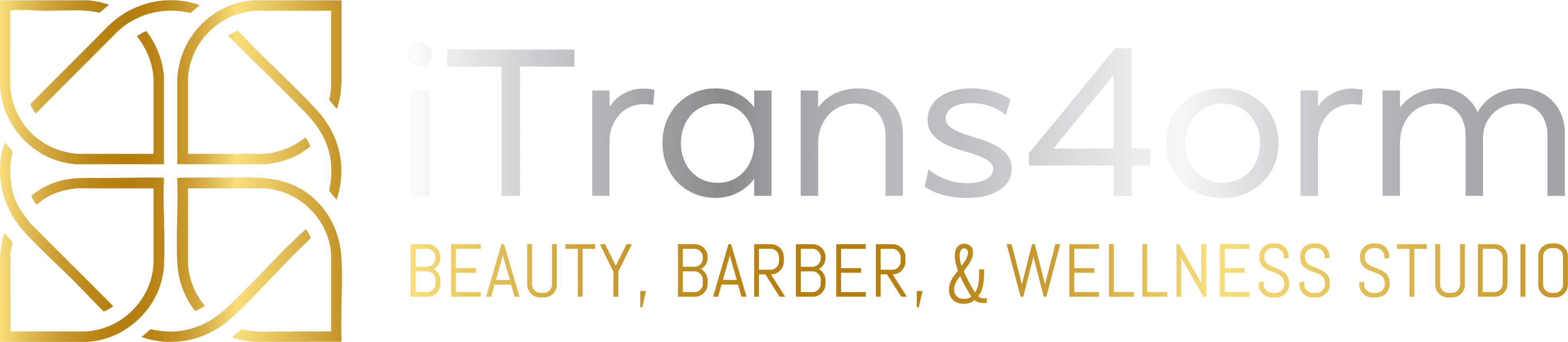 iTrans4orm, LLC