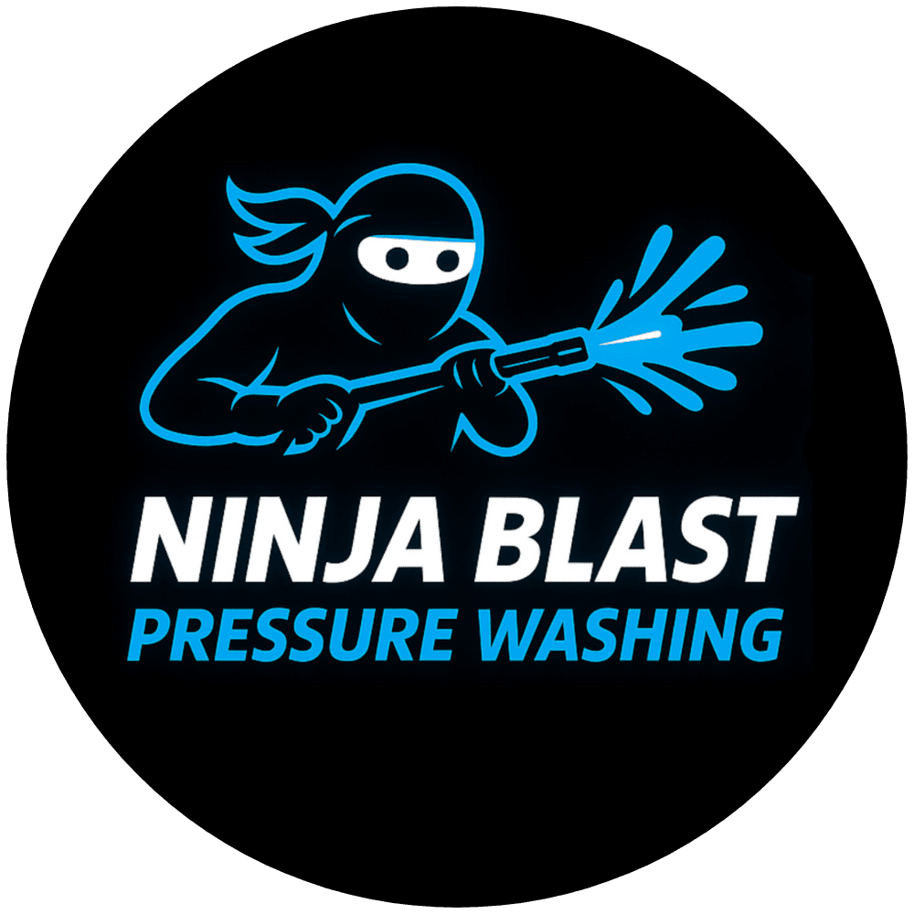 Ninja Blast Pressure Washing