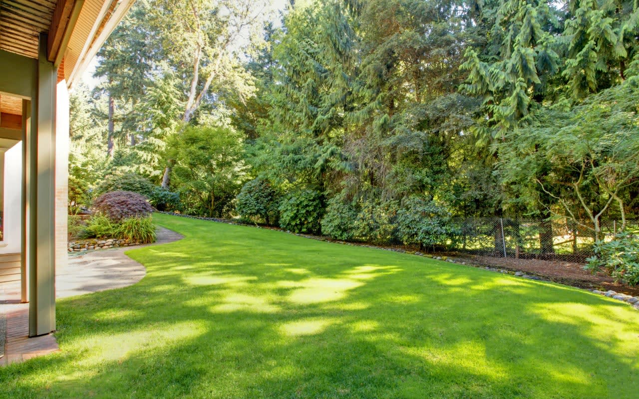 Yard Debris Clean-Up & Removal - Expert Landscaping Services - Crystal ... - Patio Debris Removal Services