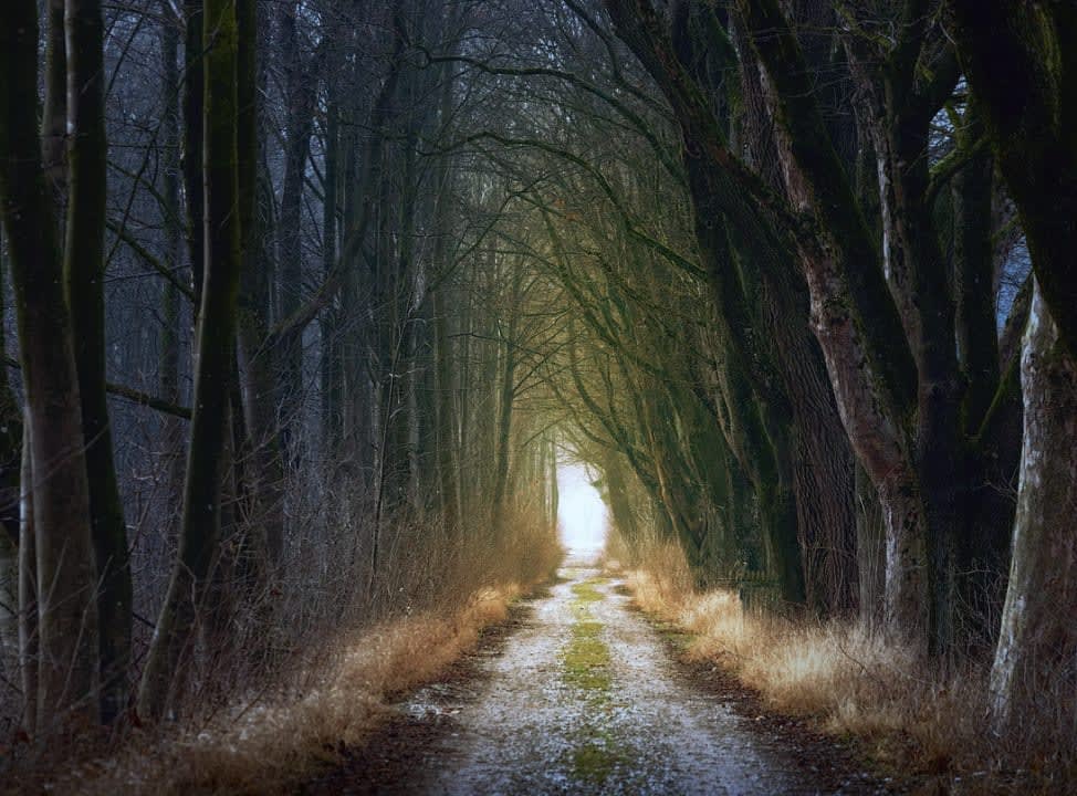 Through the Dark Valley