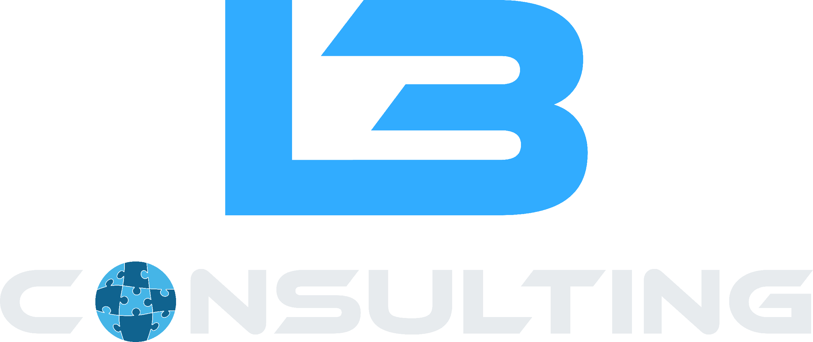 L3 Consulting LLC