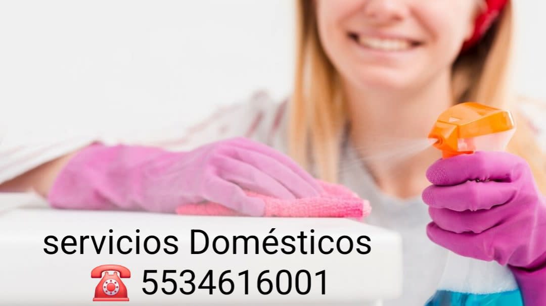 Empleadas Domésticas 5523234328