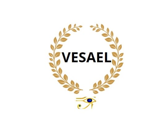 Despacho Contable Fiscal Vesael