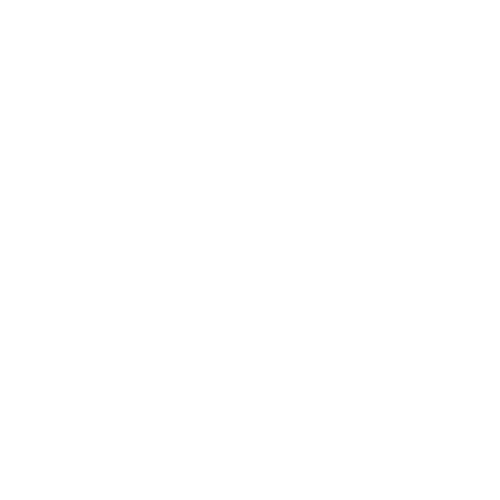 Latin Multi Services Ltd