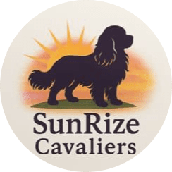 SunRize Cavaliers