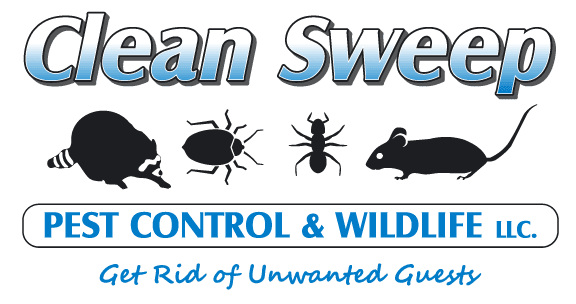Clean Sweep Pest Control & Wildlife Service, LLC