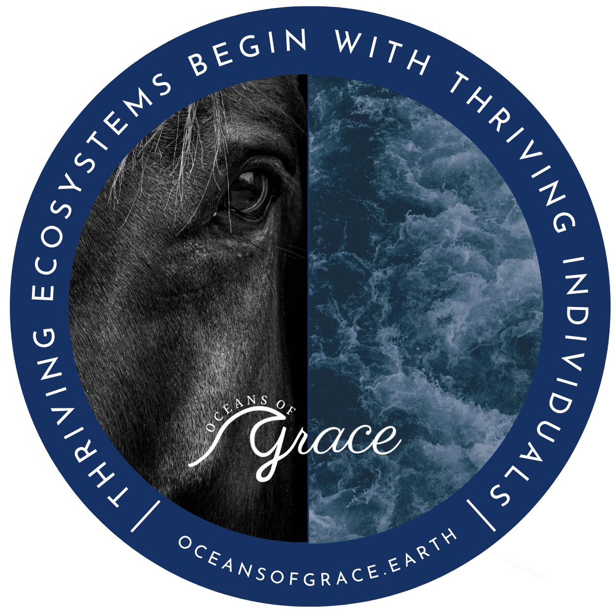 Oceans of Grace