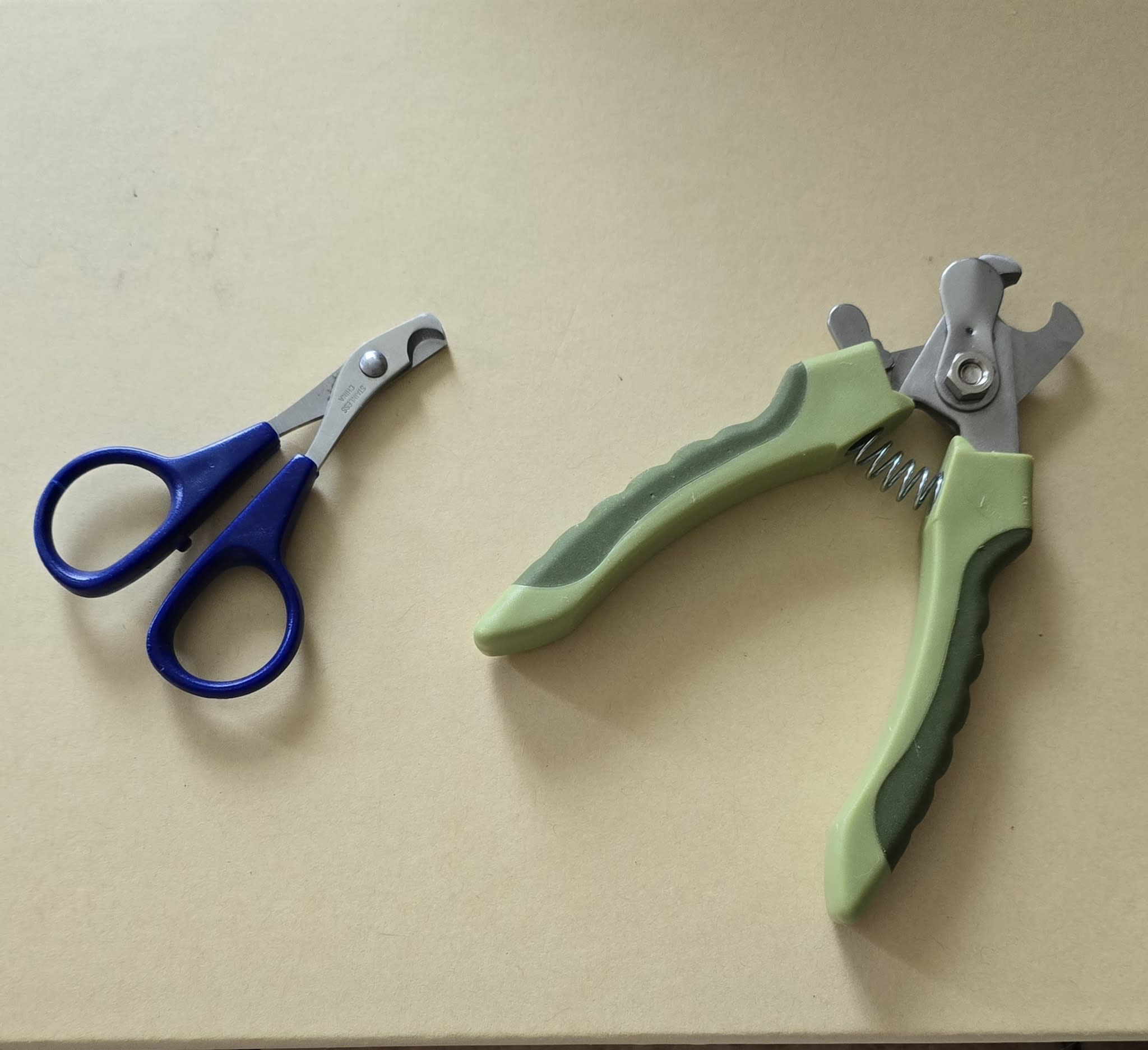 Section background image