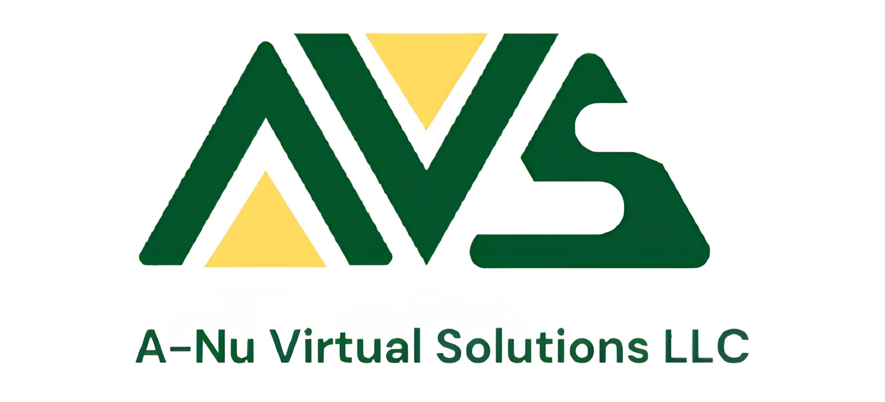 A-NU Virtual Solutions