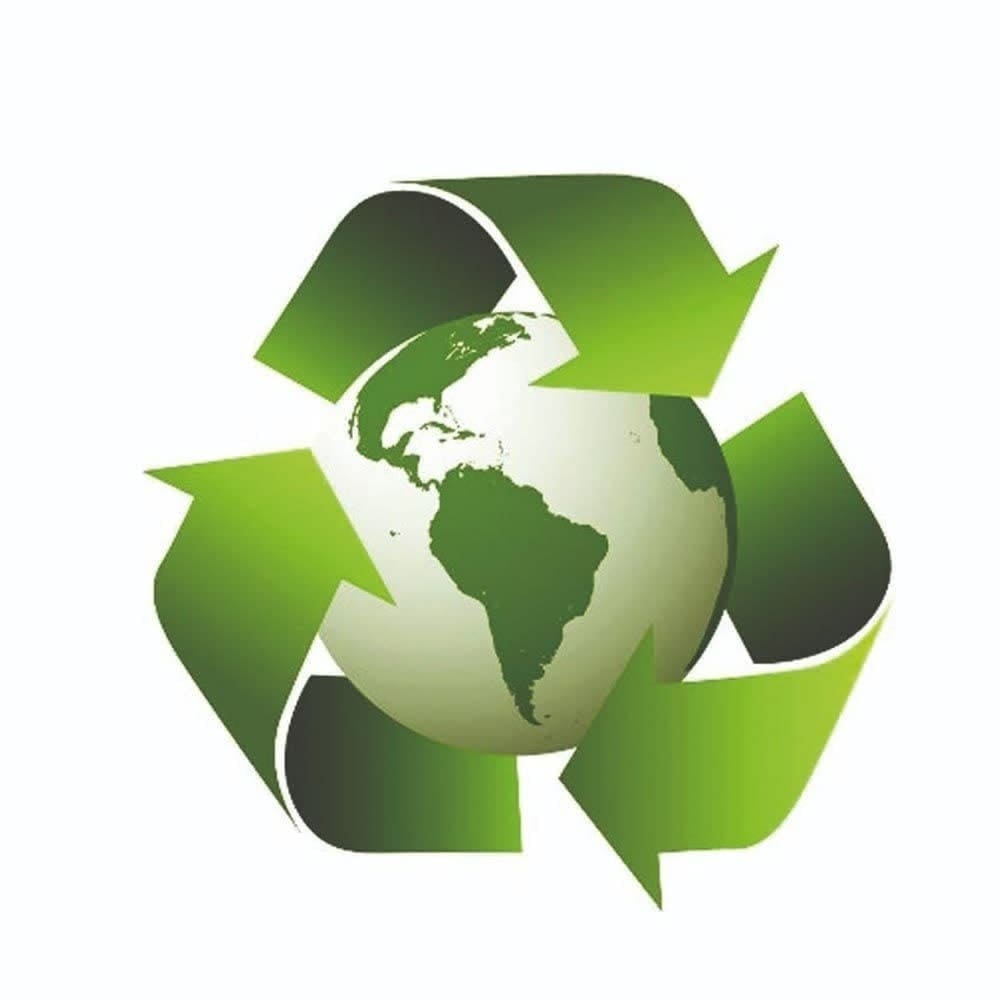 Robô EcoGuia: Pensar, Programar e Preservar
