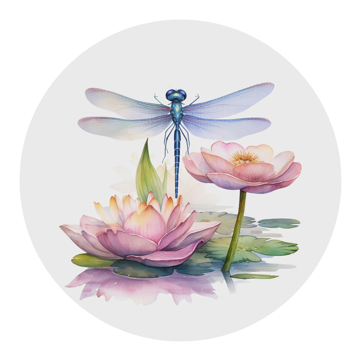 The Dragonfly's Den Bookstore and Coffee Bar