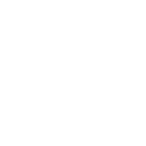 Christine Rapoza