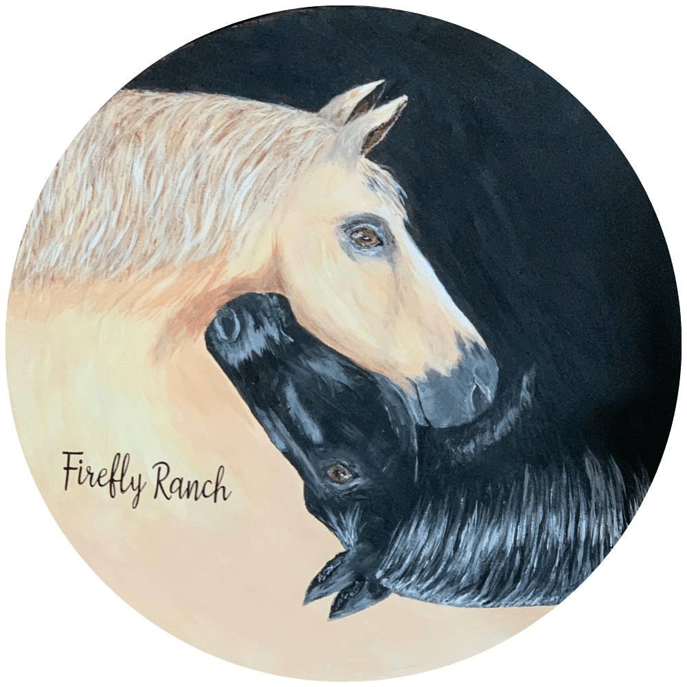 Firefly Ranch Academy