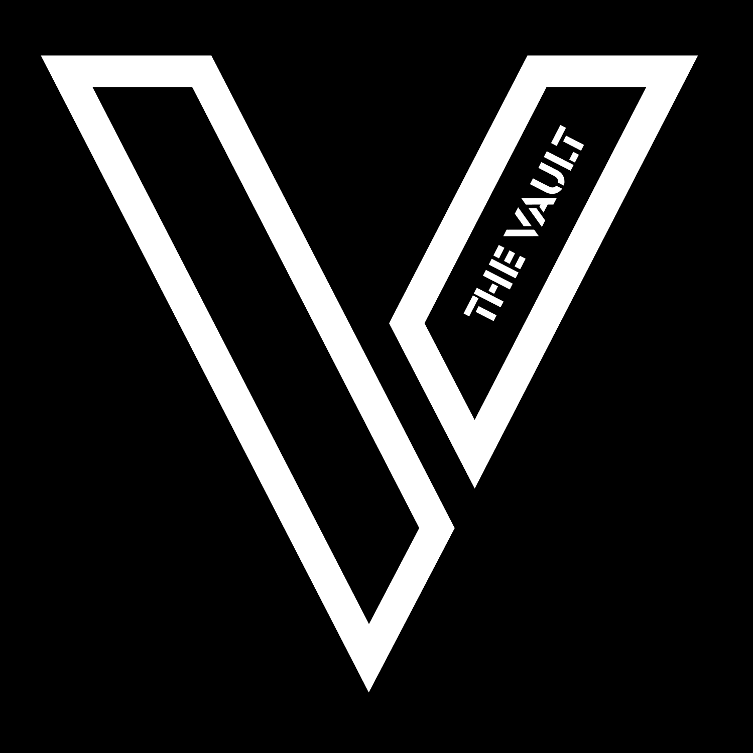 THE FITNESS VAULT