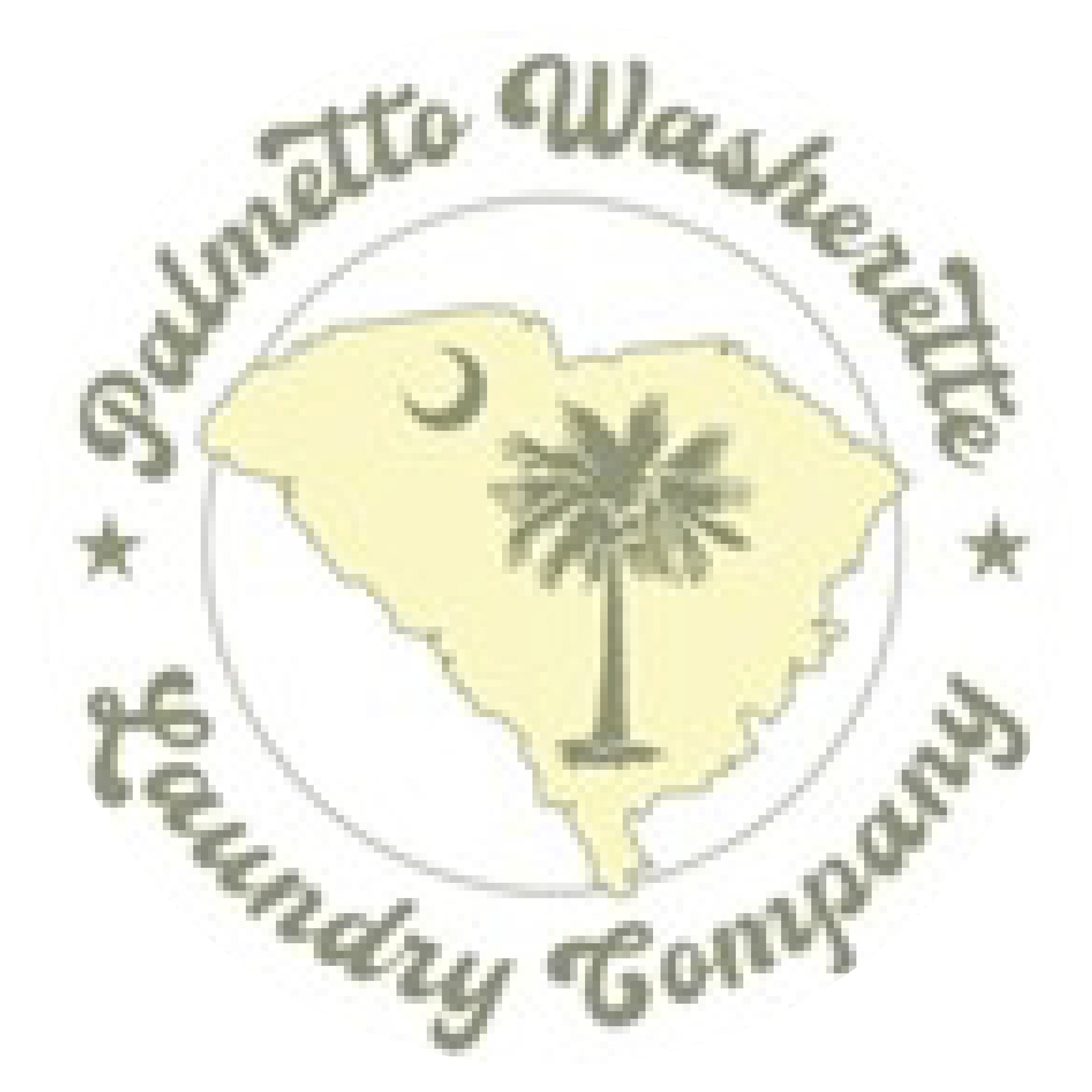 Palmetto Washerette & Laundry Company