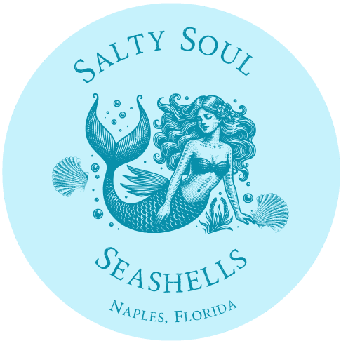 Salty Soul Seashells, LLC