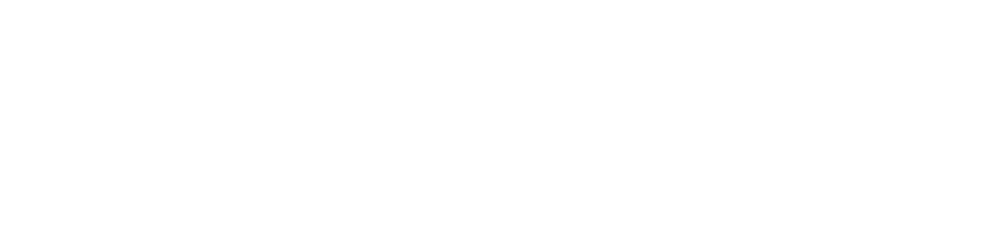 Lonestar Fleet Service