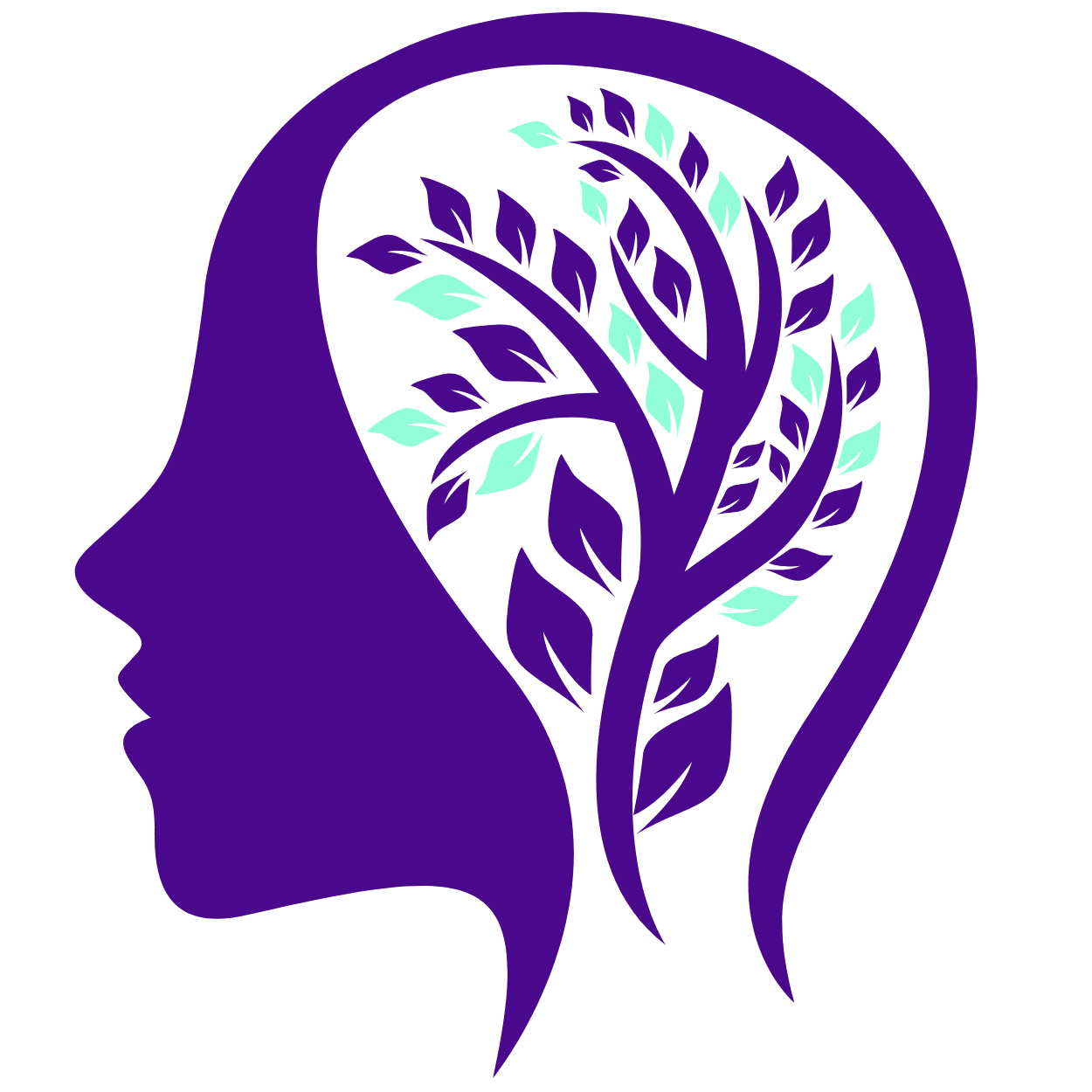 Wellspring Healthcare, LLC