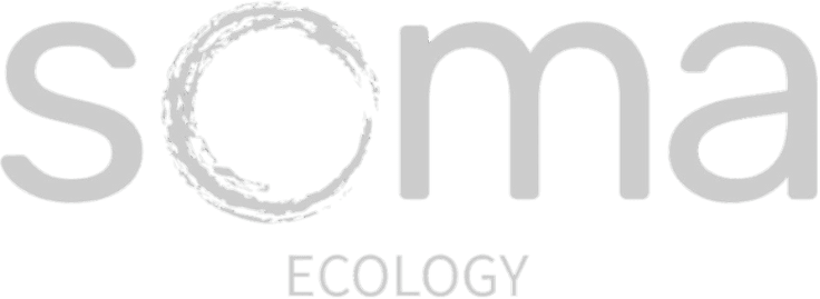 Soma Ecology