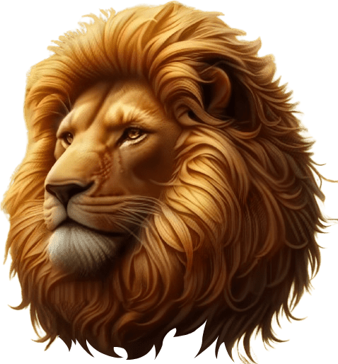 ROAR EVENTS