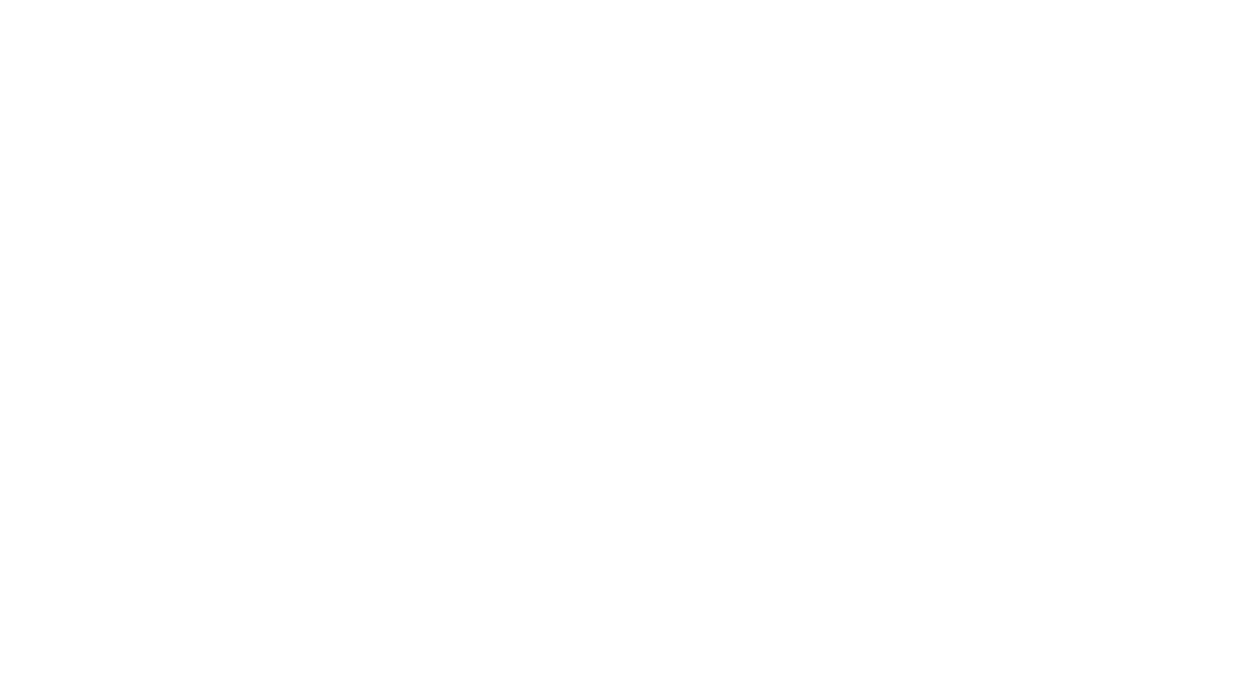 Financial Business Solutions, Inc