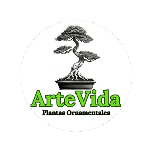 Artevida