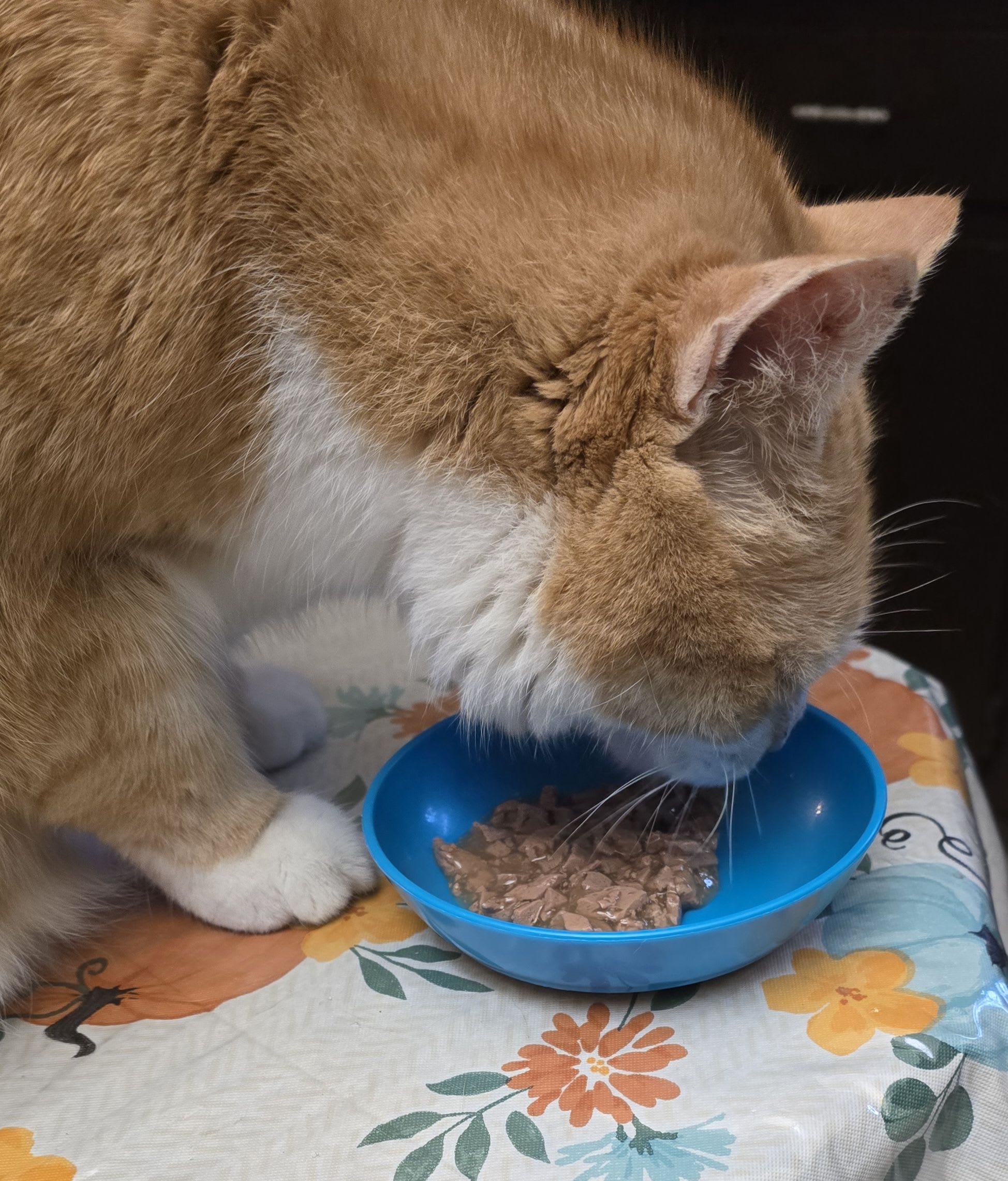 Section background image