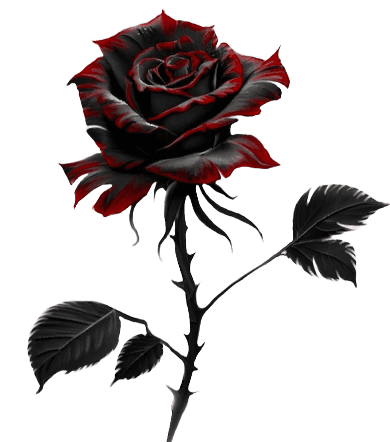 Dark Rose Entertainment