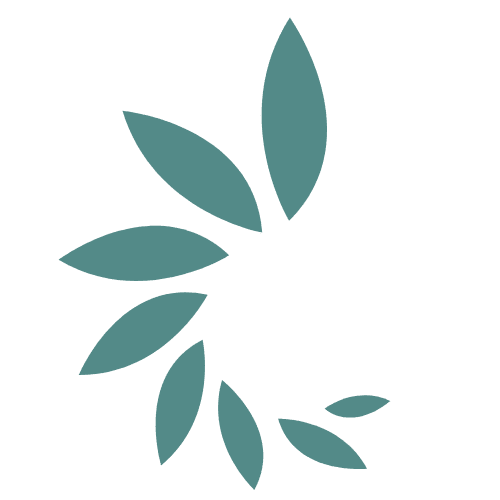 Whole + Happy & Healed Counseling Clinic