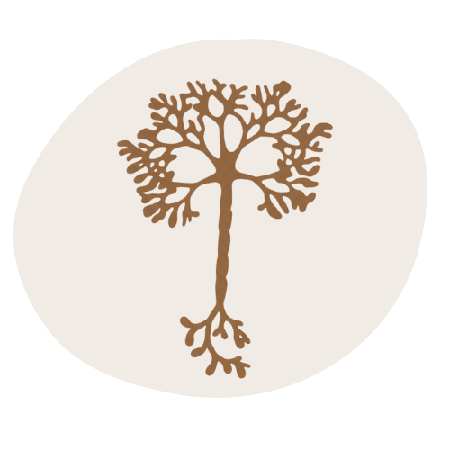 Rooted Mental Health Services, PLLC