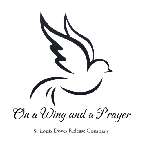 On a Wing and a Prayer