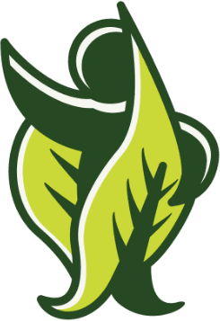 Natural Health and Skin