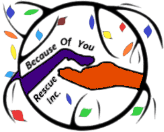 Because Of You Rescue, Inc