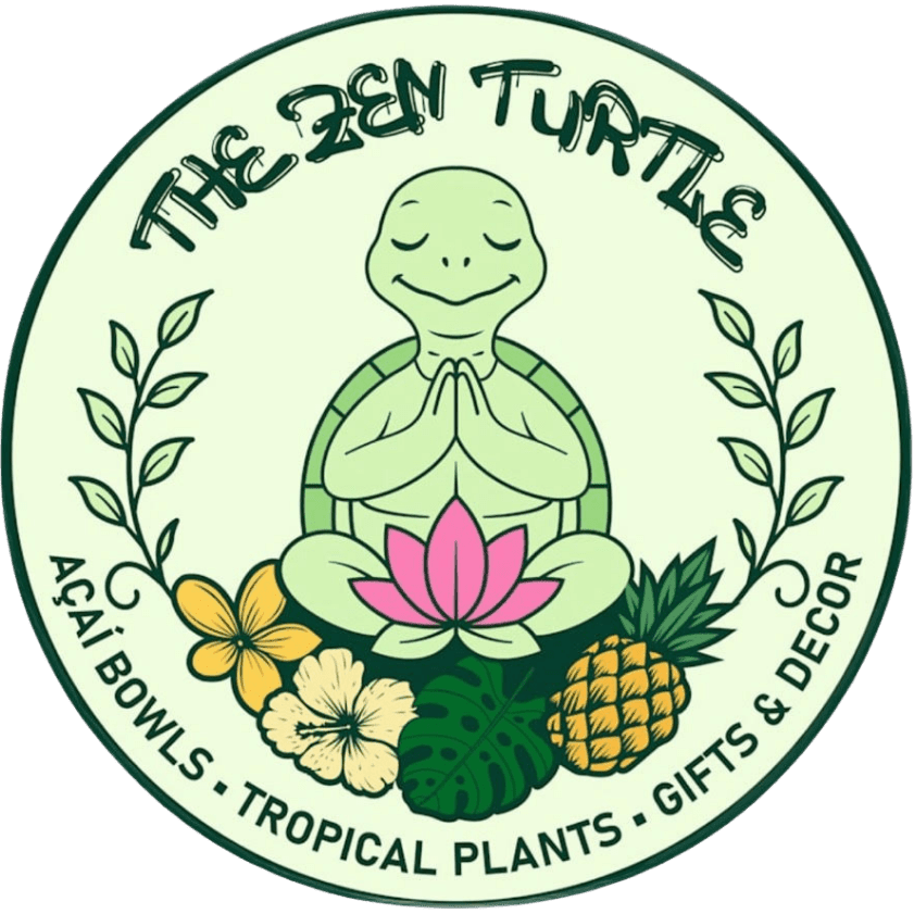The Zen Turtle