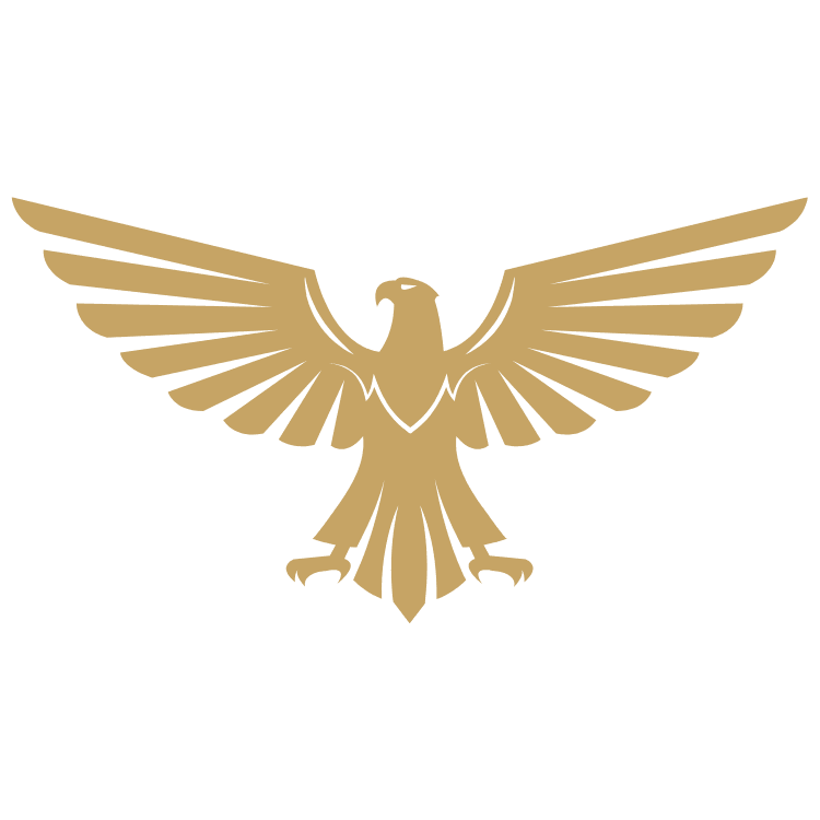 Eagle VIP Transportation, LLC