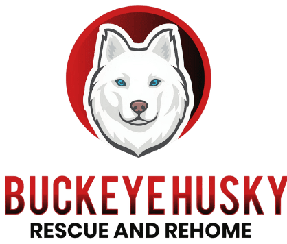Buckeye Husky Rescue and Rehome