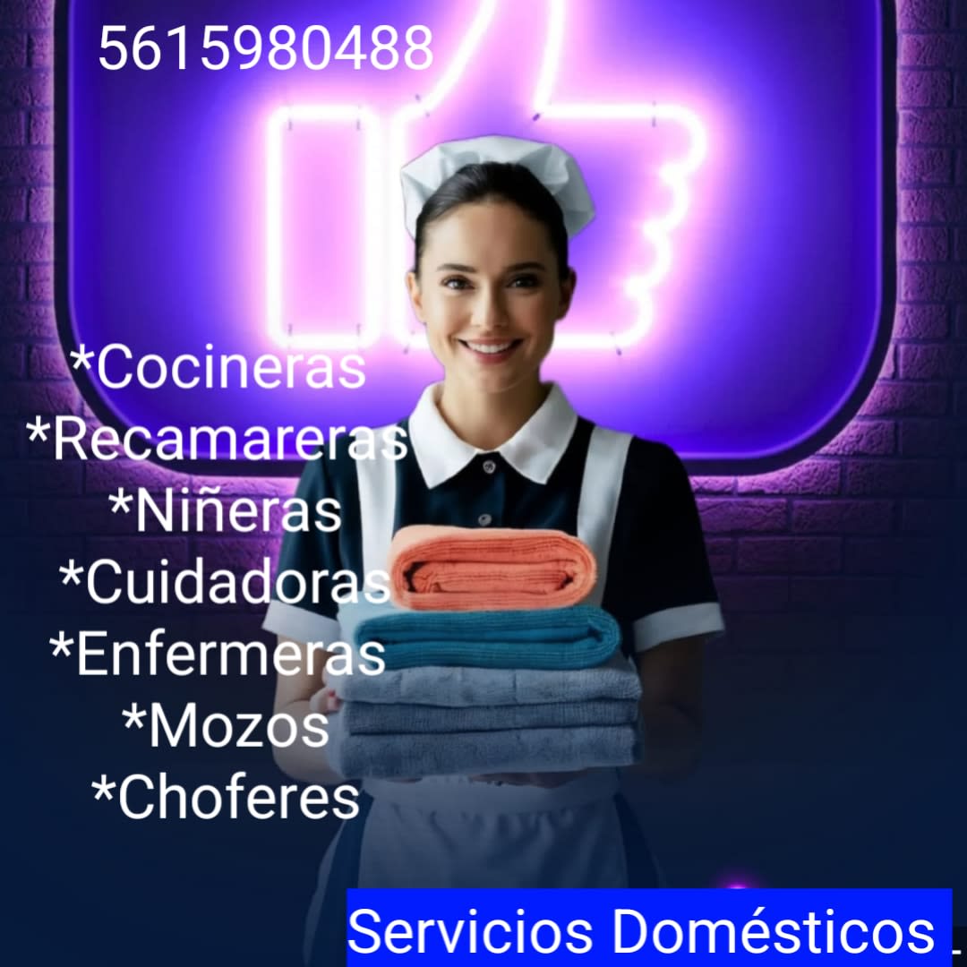 Servicios Domésticos