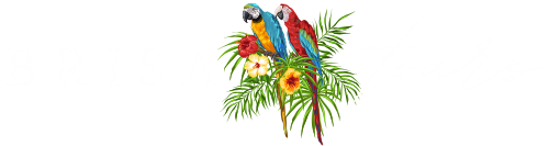 Brisa Tours