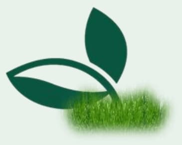 Up-Station Health Services, LLC