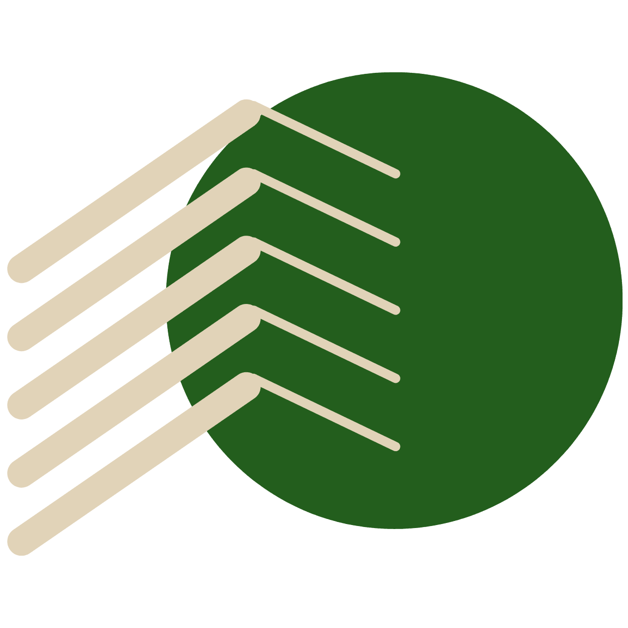 Personal Project Solutions & Clarity™