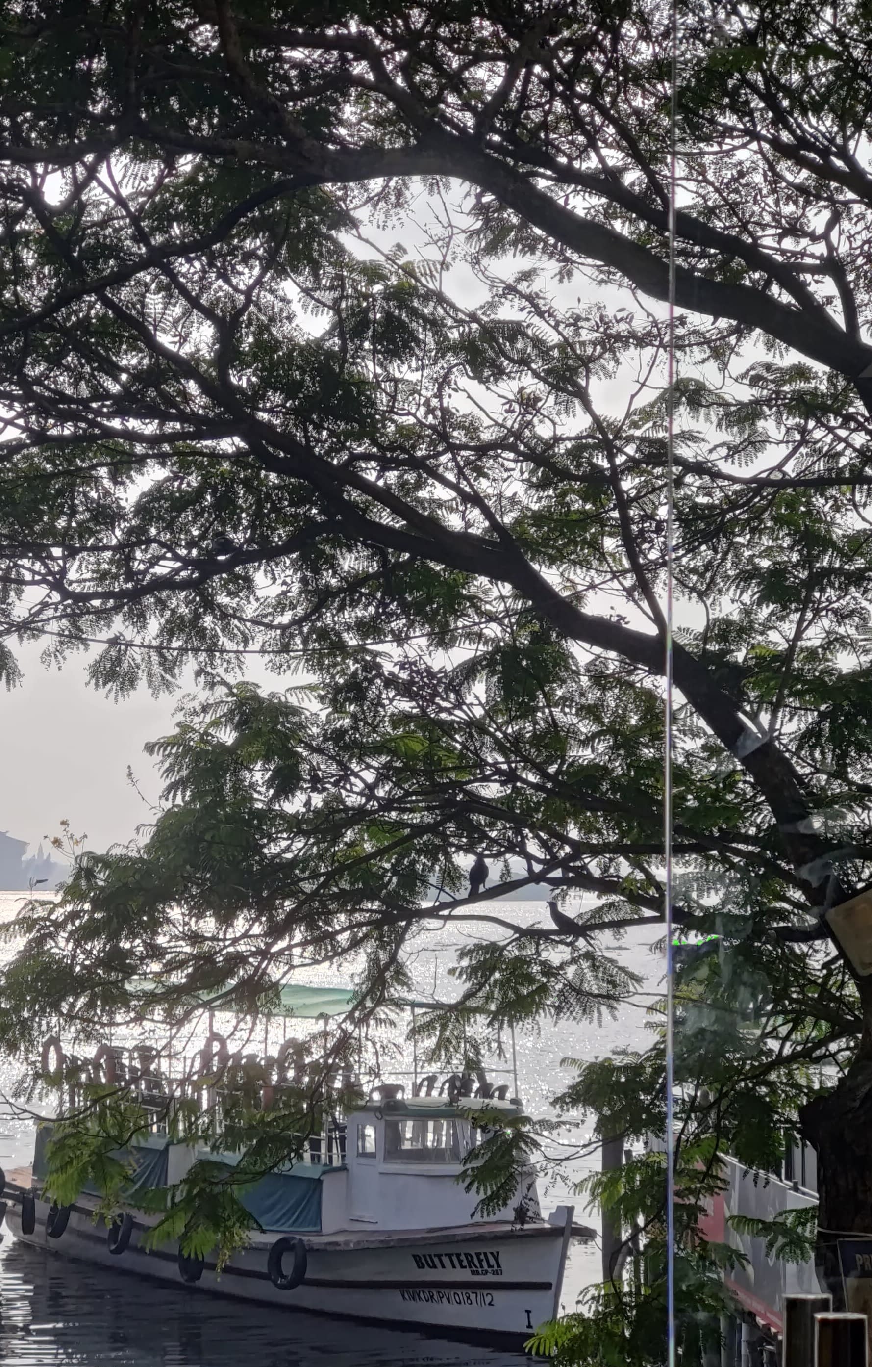 Tourist Boat Services