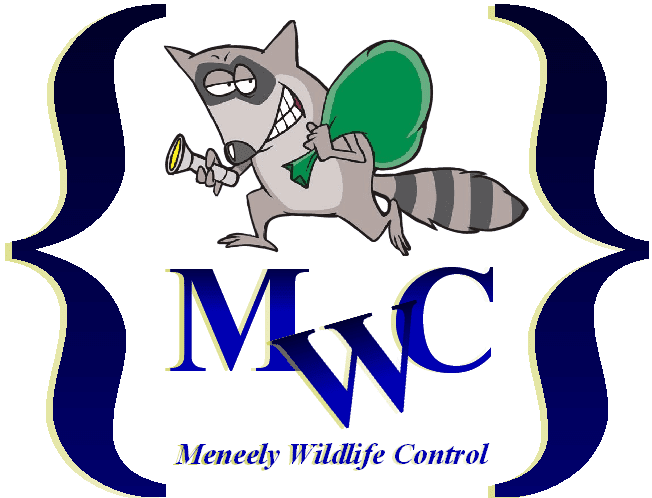 Meneely Wildlife Control