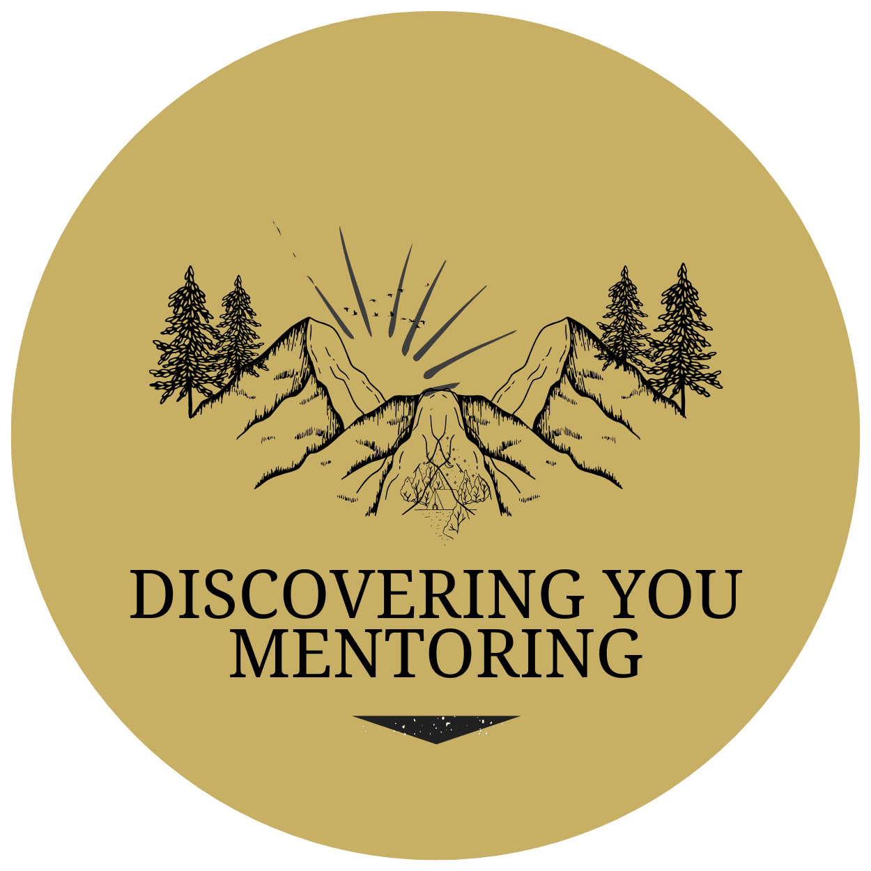 Discovering You Mentoring