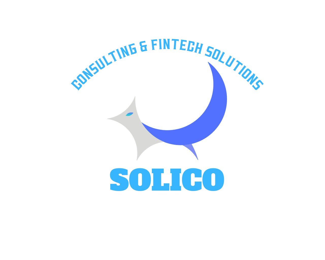 Solico Consulting and Fintech Solutions