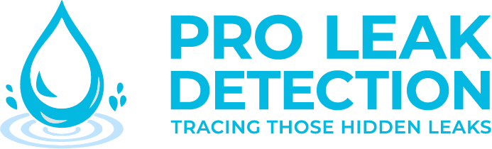 Pro Leak Detection