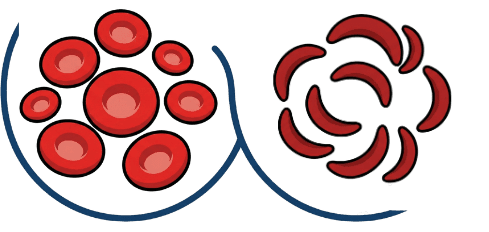 Tiffany Marie Mclinn Sickle Cell Foundation