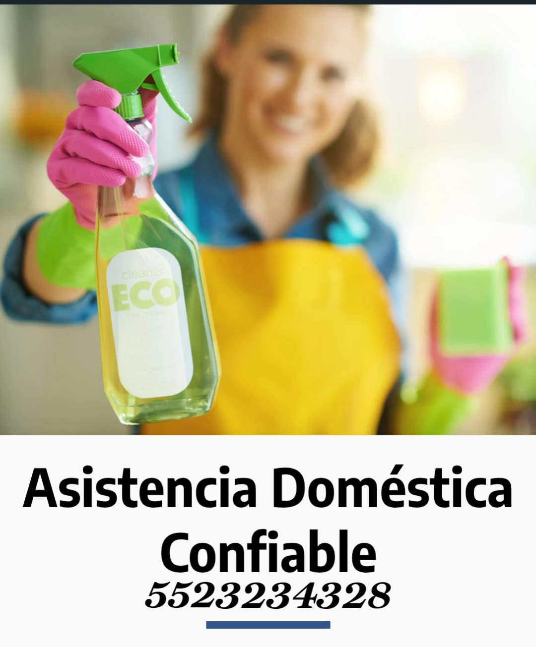 Agencia De Empleadas Doméstica