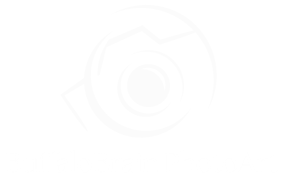 BuffaloBrain PhotoArt